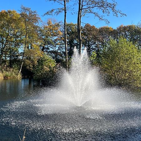 Oak Boutique Lodge Includes Hot Tub Air Con & Dog York Exteriör bild