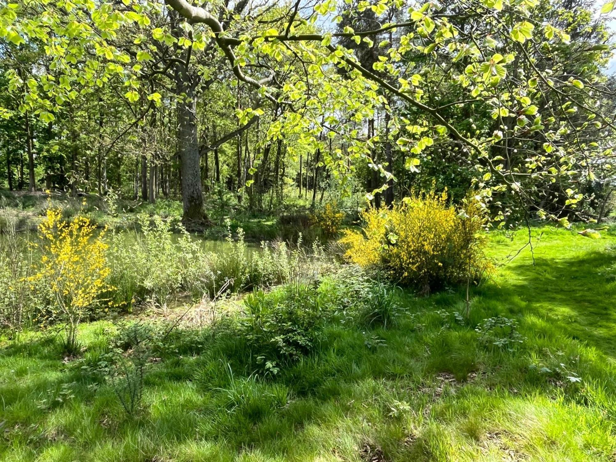 Oak Boutique Lodge Includes Hot Tub Air Con & Dog York Exteriör bild